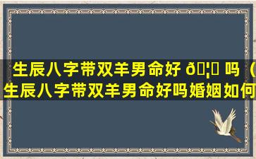 生辰八字带双羊男命好 🦟 吗（生辰八字带双羊男命好吗婚姻如何 🐧 ）